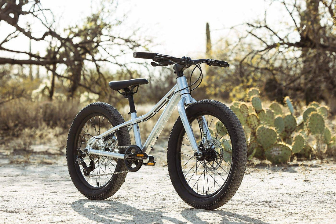 Batch 20 inch kids mountain bike in Tucson