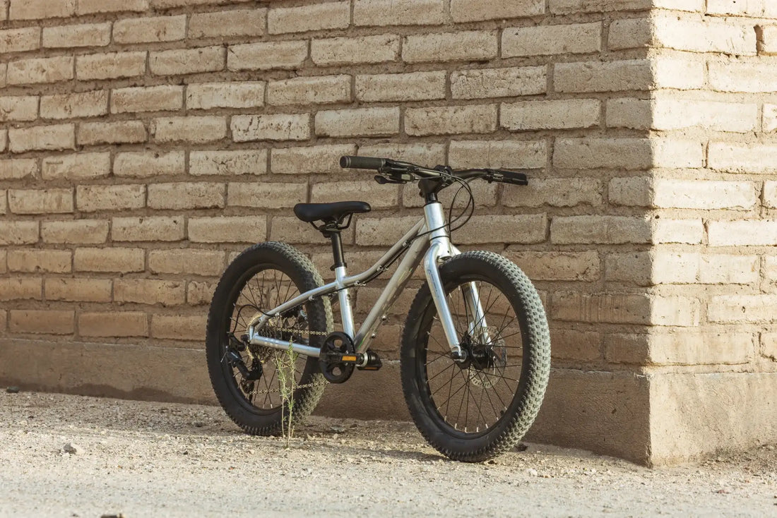 Batch 20 inch kids mountain bike