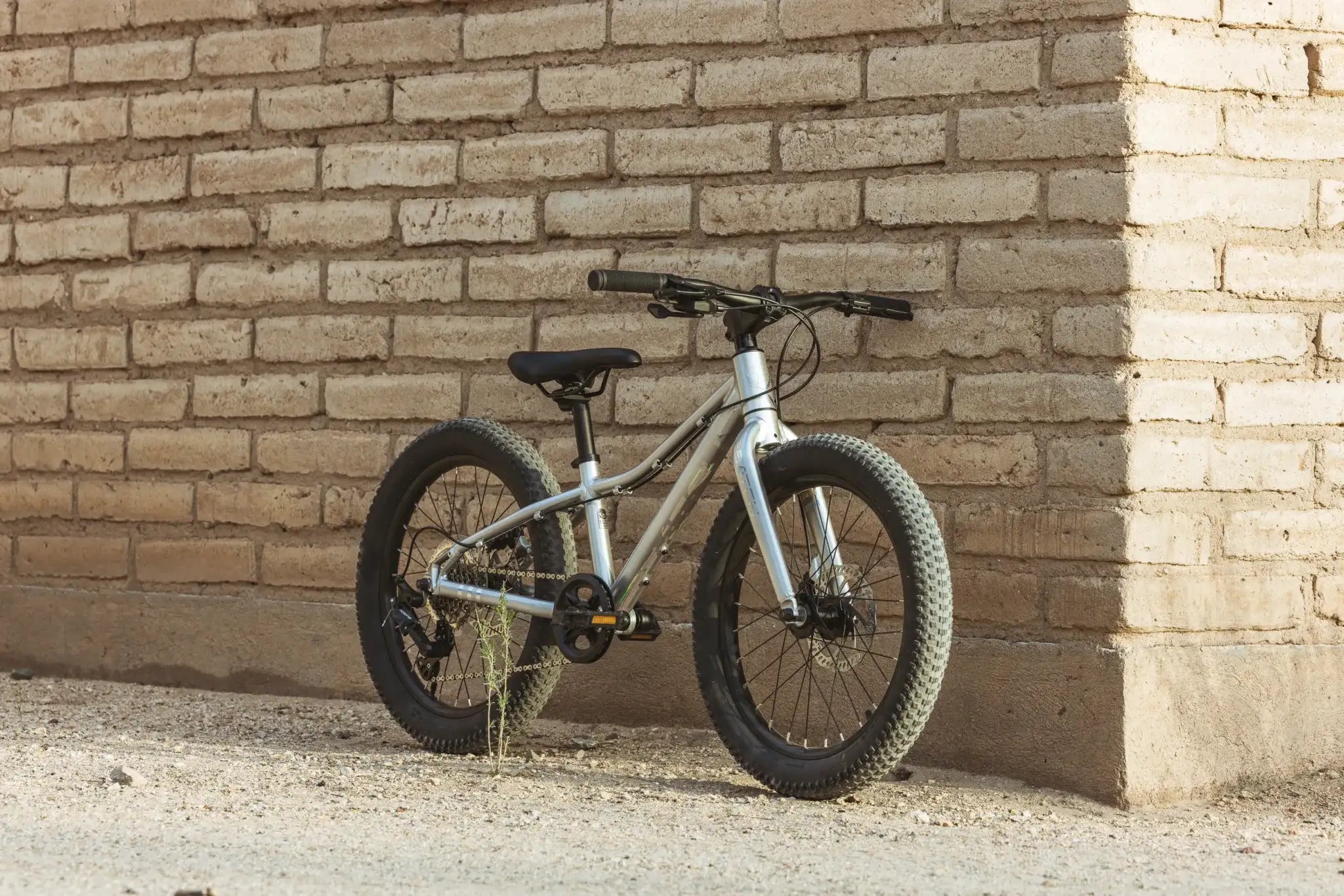 Batch 20 inch kids mountain bike