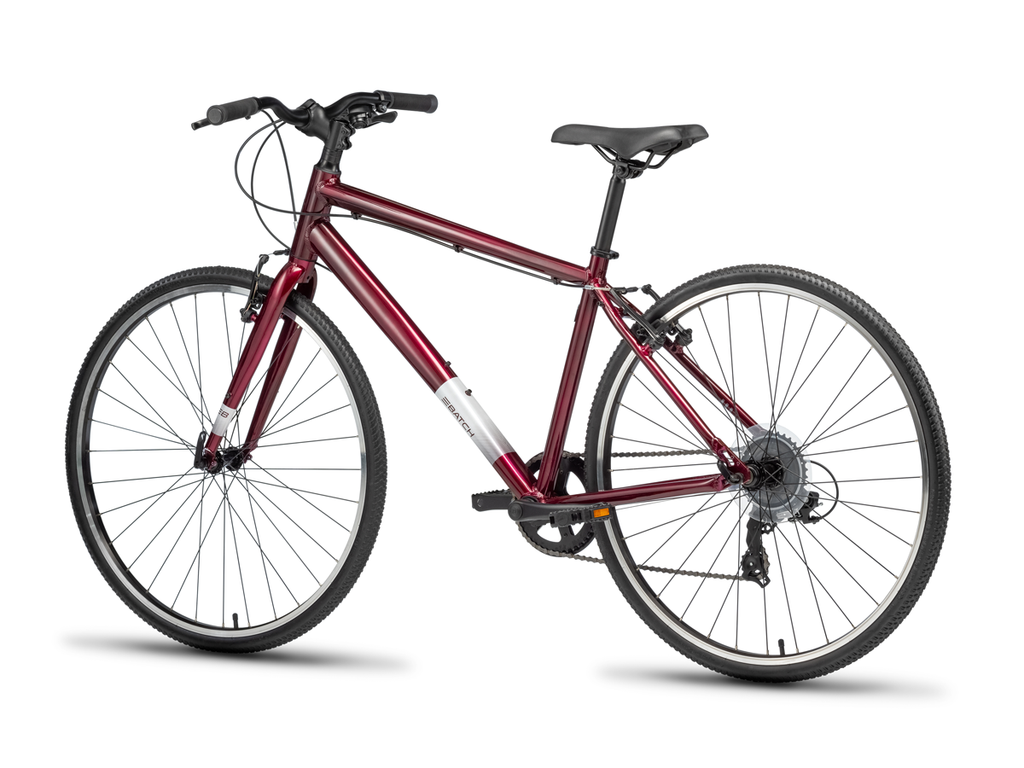 THE LIFESTYLE BICYCLE
