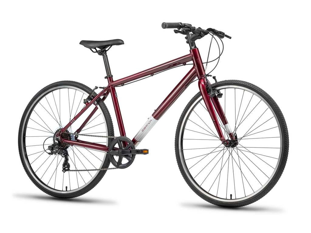 THE LIFESTYLE BICYCLE