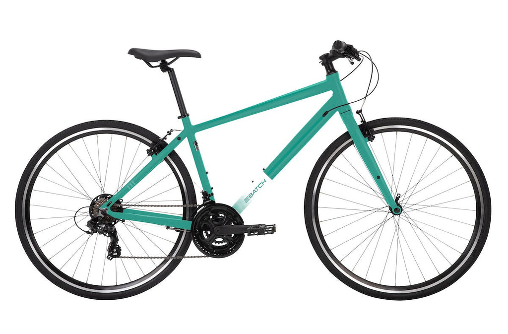 THE FITNESS BICYCLE