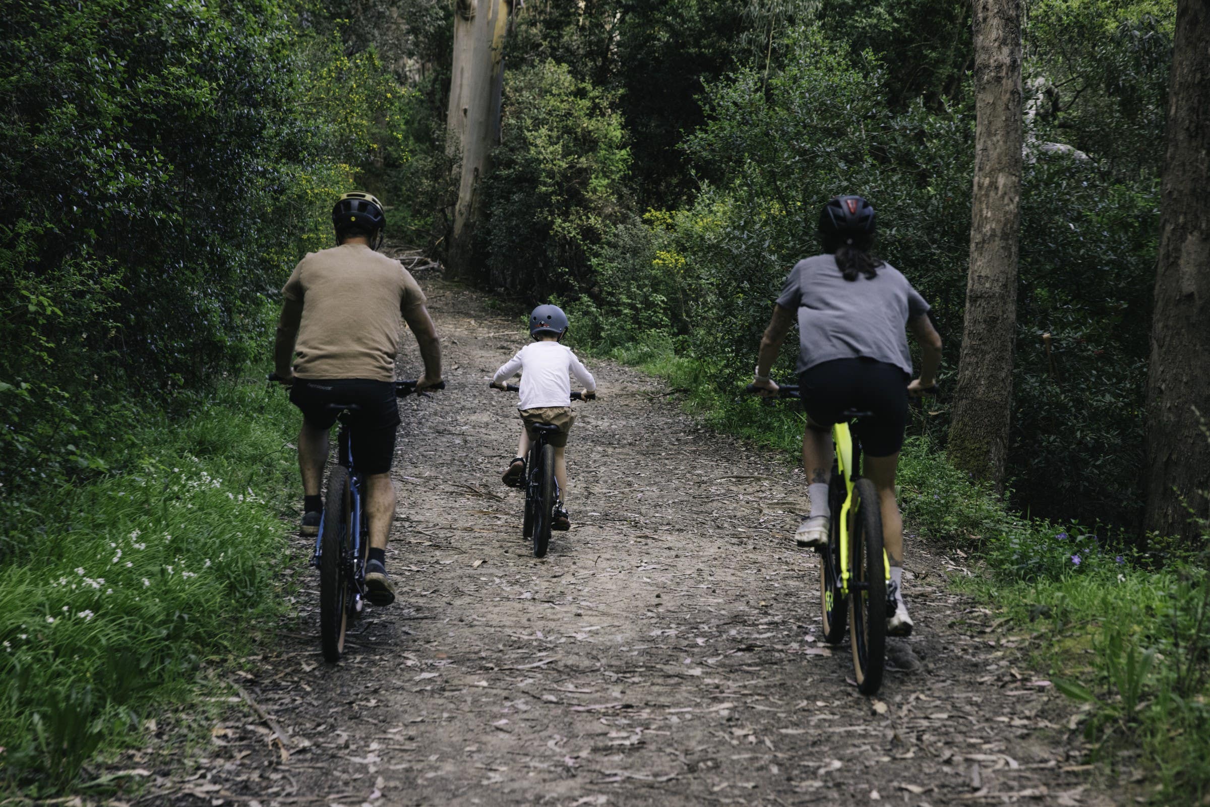 Kids bikes category